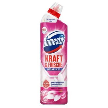 Domestos WC-Gel Kraft&Frische Floral Fresh 750ml
